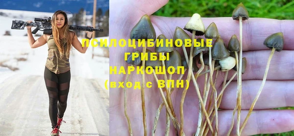 гашишное масло Заводоуковск