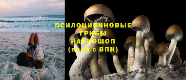 гашишное масло Заводоуковск