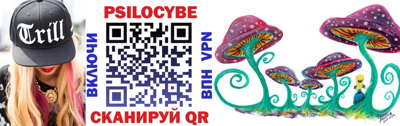 Псилоцибиновые грибы прущие грибы  Мурино 